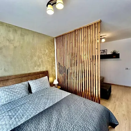 Studio 18 Cu La Munte Si Parcare Privata * Brasov